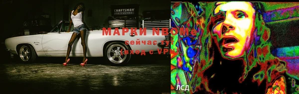 стаф Богданович