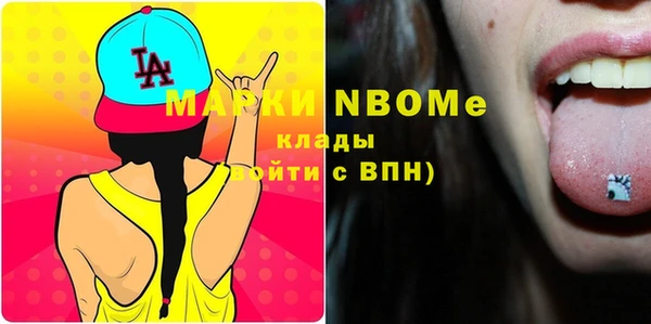 стаф Богданович