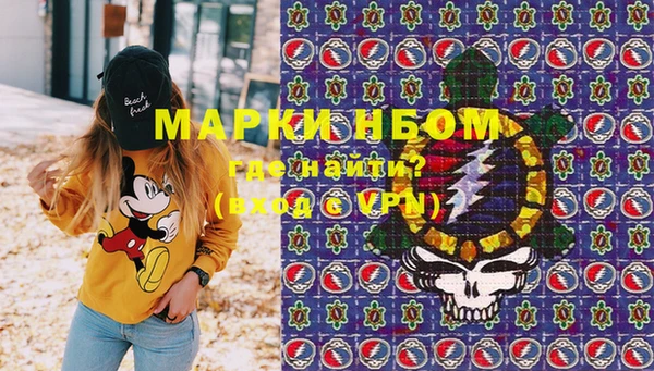 стаф Богданович