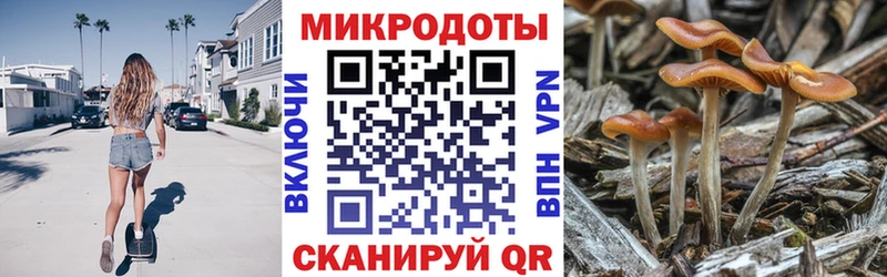 Купить закладки  Унеча  Галлюциногенные грибы мицелий 